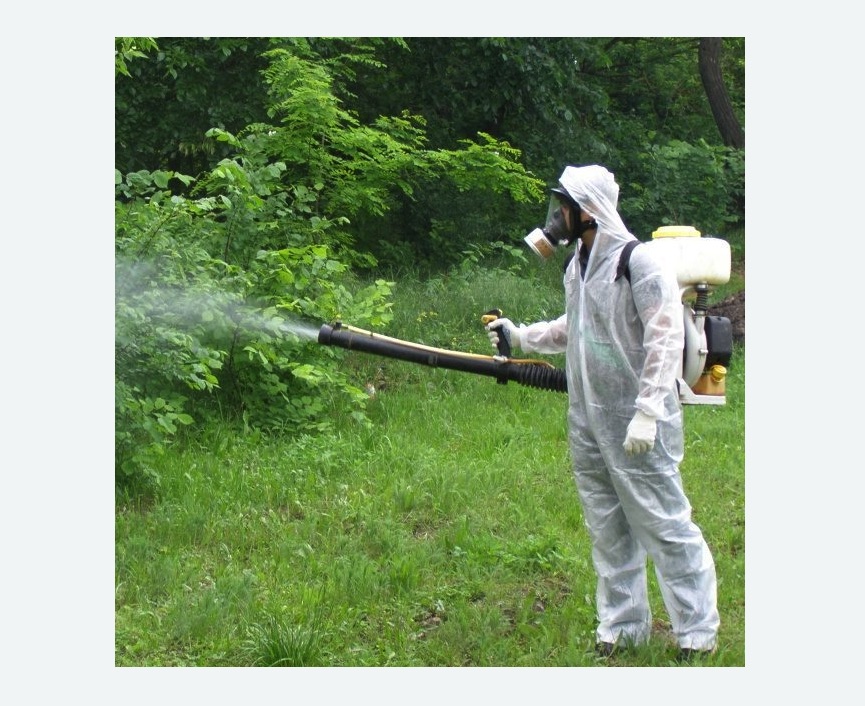 обработка дачи от клещей обработка территории от клещей в Новоалександровске