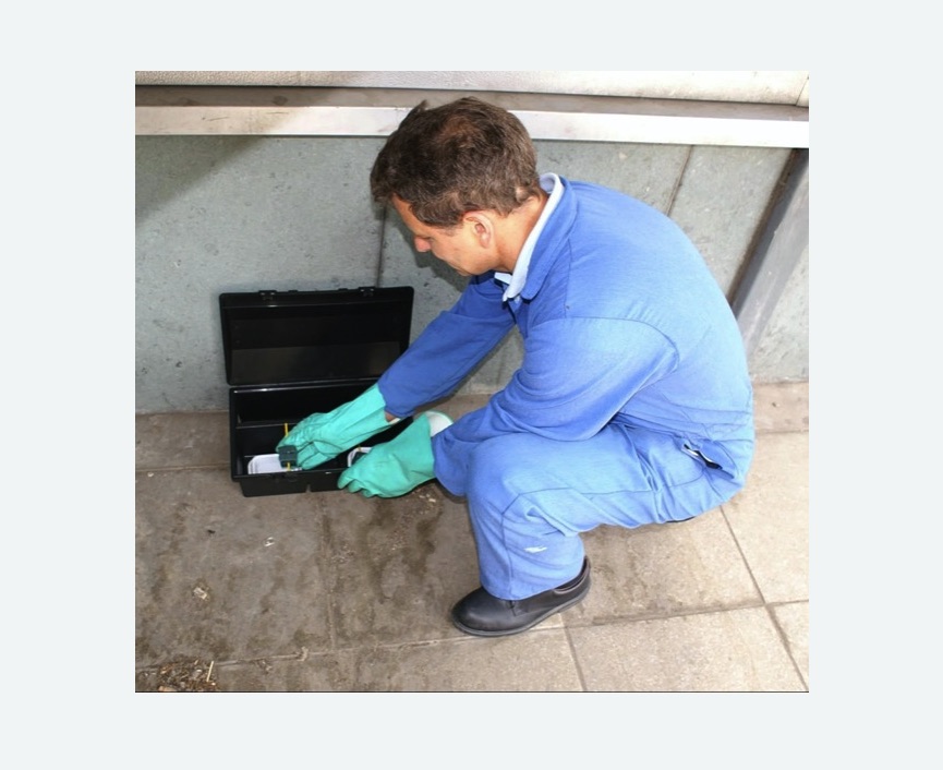 Дератизация помещения в Новоалександровске Дератизация помещения