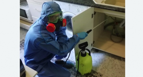 Уничтожение муравьев в квартире. Новоалександровск