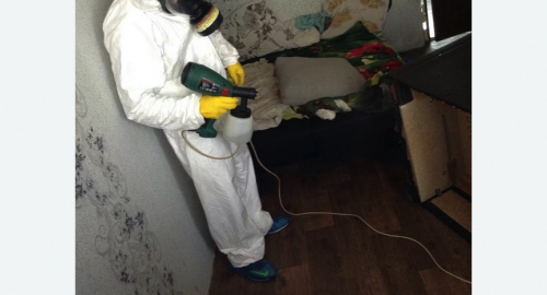 Обработка квартир от насекомых в Новоалександровске