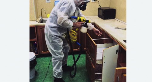 Дезинсекция квартиры. Новоалександровск