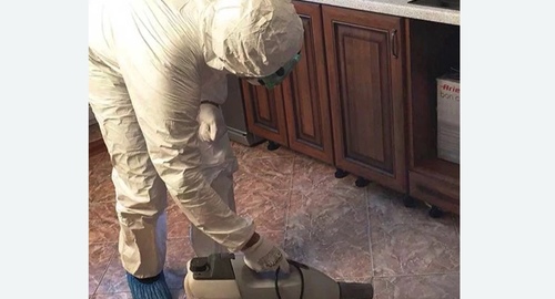 Уничтожение тараканов в квартире. Новоалександровск
