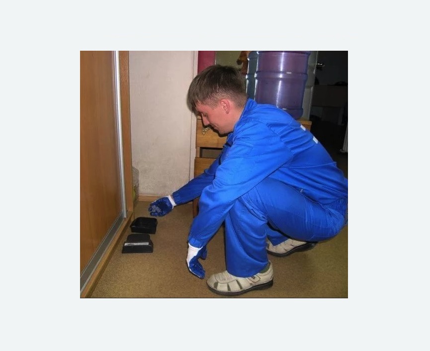 Дератизация крыс Дератизация крыс в Новоалександровске