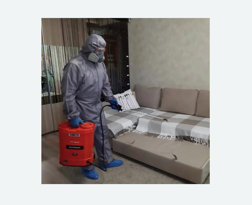 Обработка квартиры от блох в Новоалександровске Обработка квартиры от блох