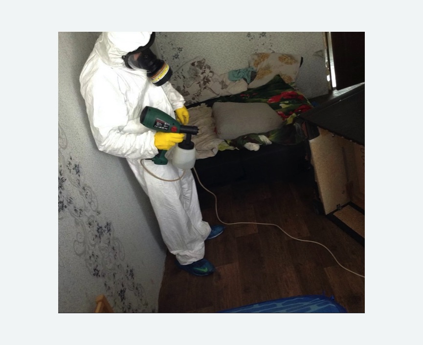 Обработка от насекомых в Новоалександровске Обработка квартиры от насекомых