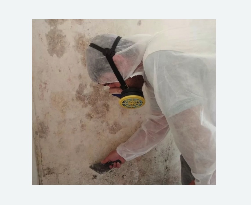 Обработка стен от плесени в Новоалександровске