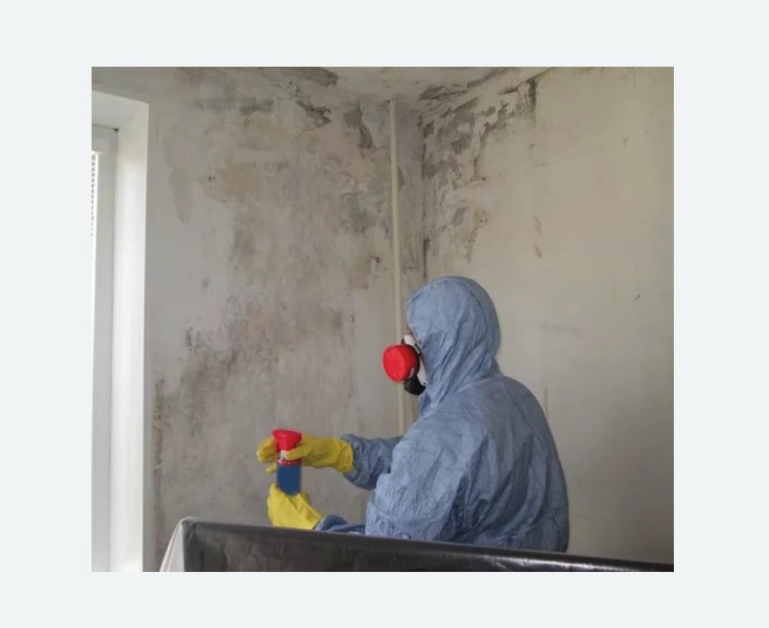 Удаление плесени в квартире в Новоалександровске