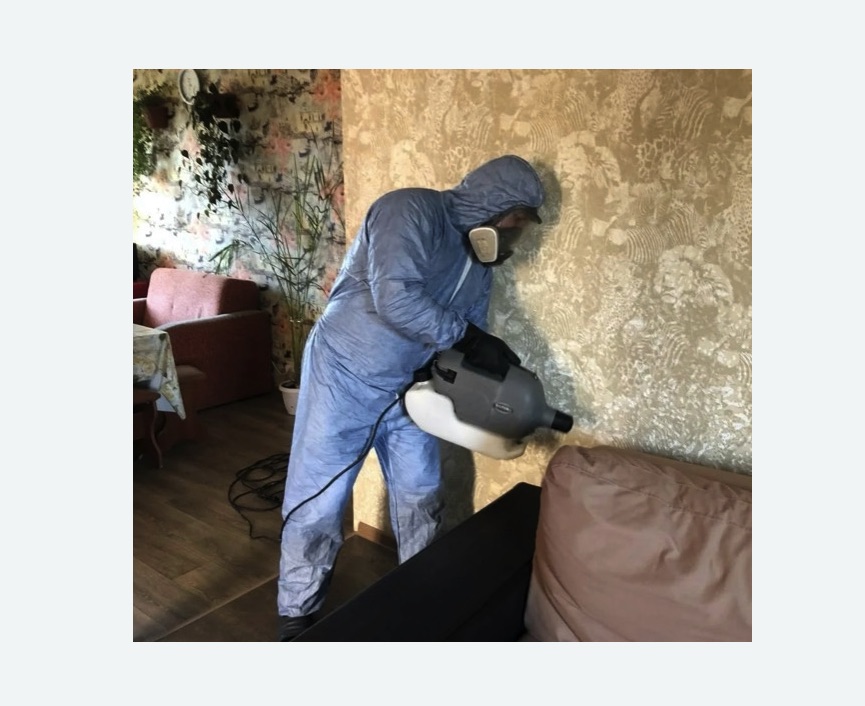 Уничтожение блох в квартире. Новоалександровск Уничтожение блох в квартире