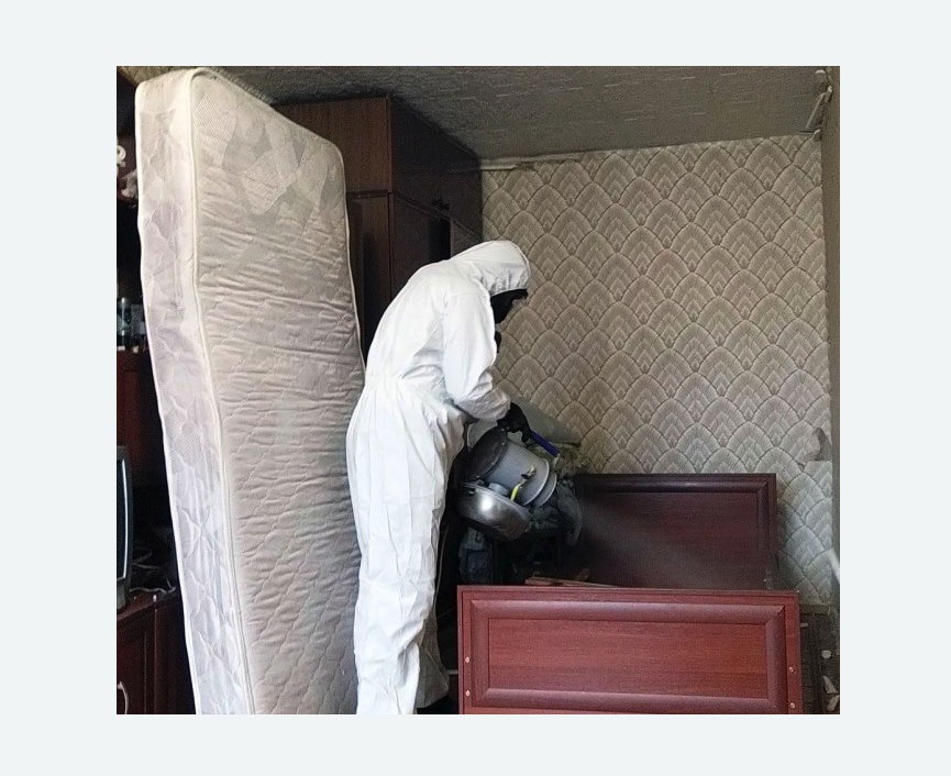 дезинфекция от клопов дезинфекция от клопов в Новоалександровске