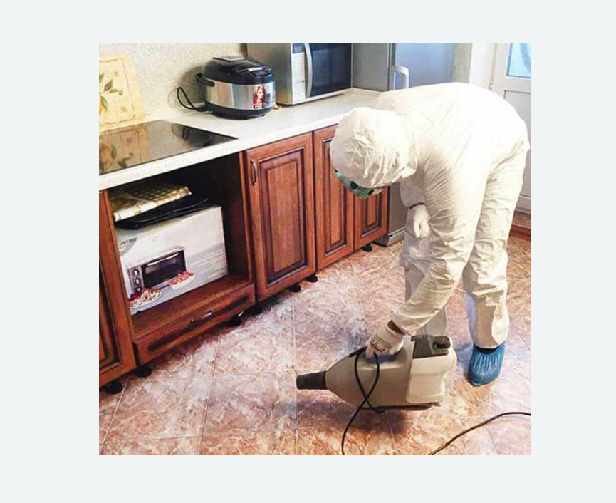 обработка квартиры от клопов в Новоалександровске обработка квартиры от клопов