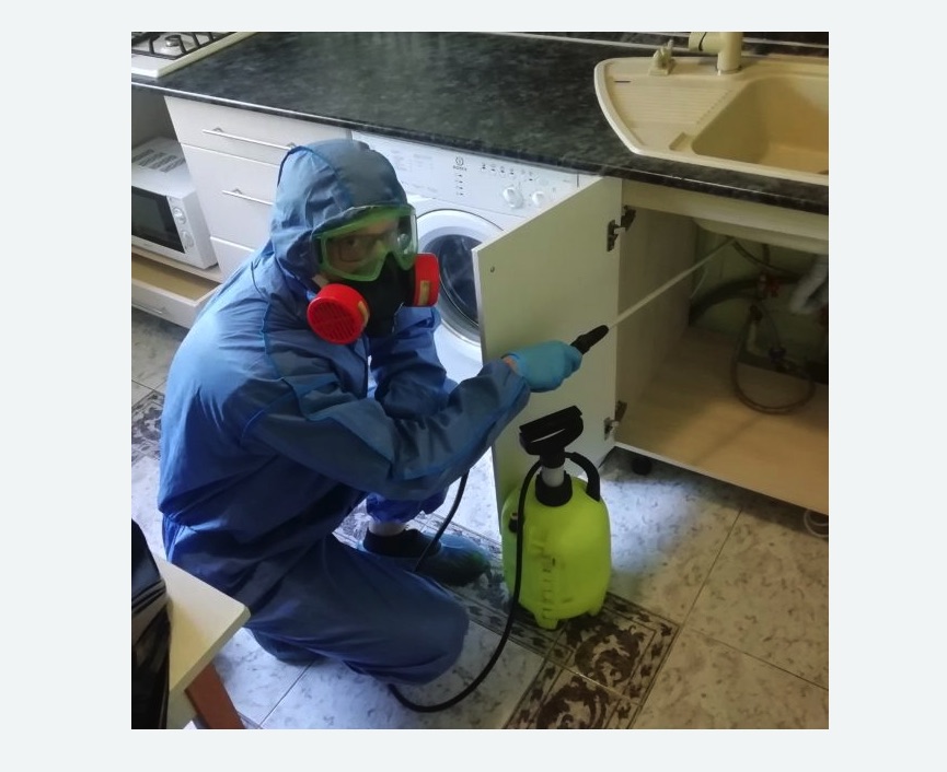 обработка от муравьев в квартире обработка от муравьев в квартире в Новоалександровске