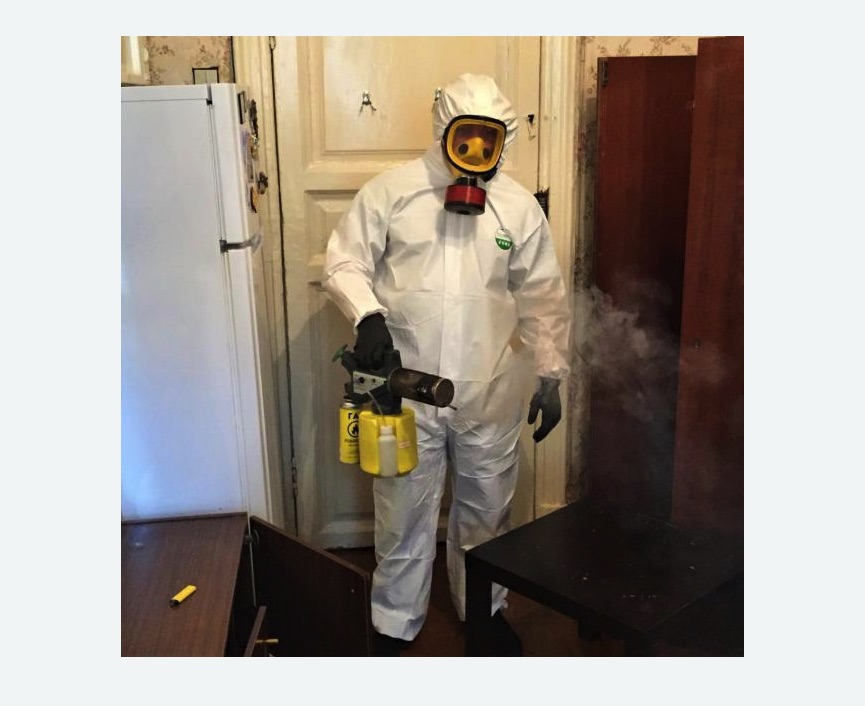 уничтожение муравьев в квартире уничтожение муравьев в квартире в Новоалександровске